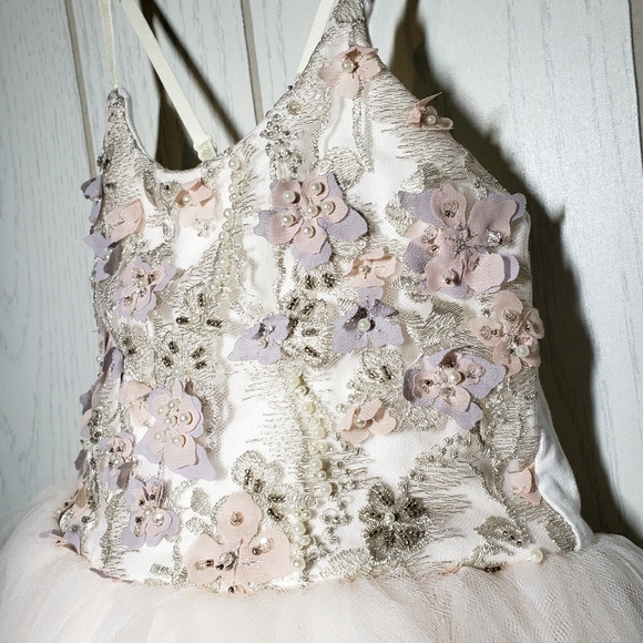 NEW BESPOKE Wraredoll TUTU dress & DOLLCAKE tiara - Picture 2 of 5